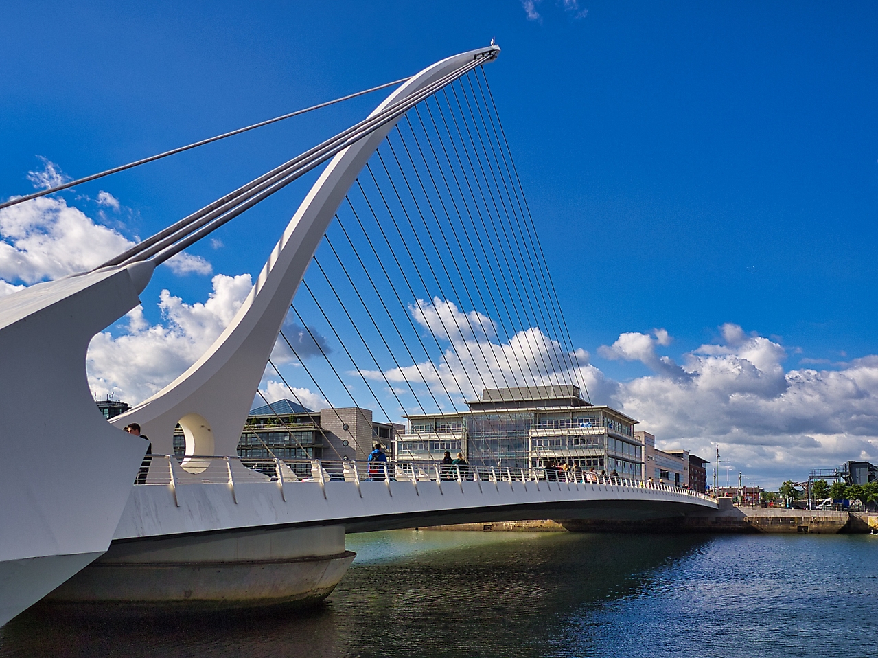Samuell Beckett Bridge Dublin