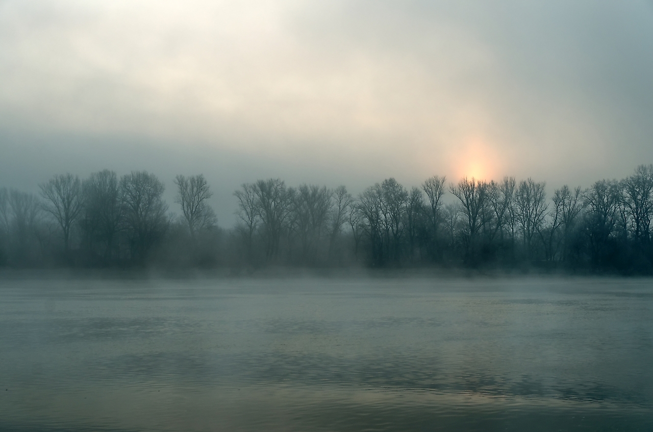 Morgennebel am Fluß - II