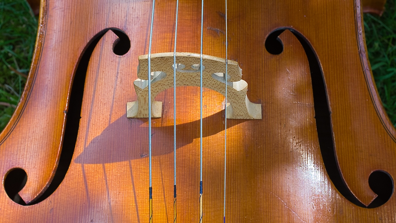 cello e