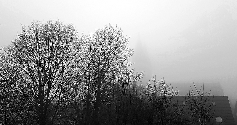 Verschwunden im Nebel