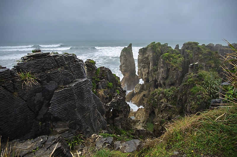 Pancake Rocks an der Westküste der Südinsel