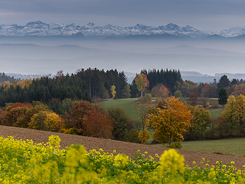 Schwarzwald-A24. Oktober 2015-41