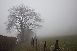 Nebel auf dem Ehrenberg