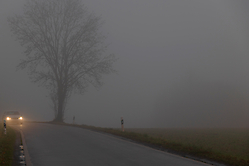 Landstraße im Nebel