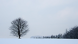 Schneelandschaft minimalistisch