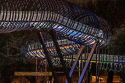 Slinky springs bridge
