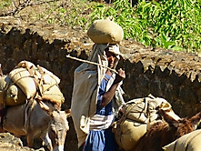 Bauer auf dem Weg zum Markt