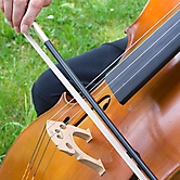 cello n