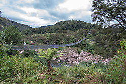 Hängebrücke über den Buller River