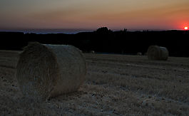 Feld bei Sonnenuntergang
