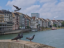 Basel Rheinufer
